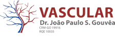 Logo original Dr. João Paulo Gouvêa